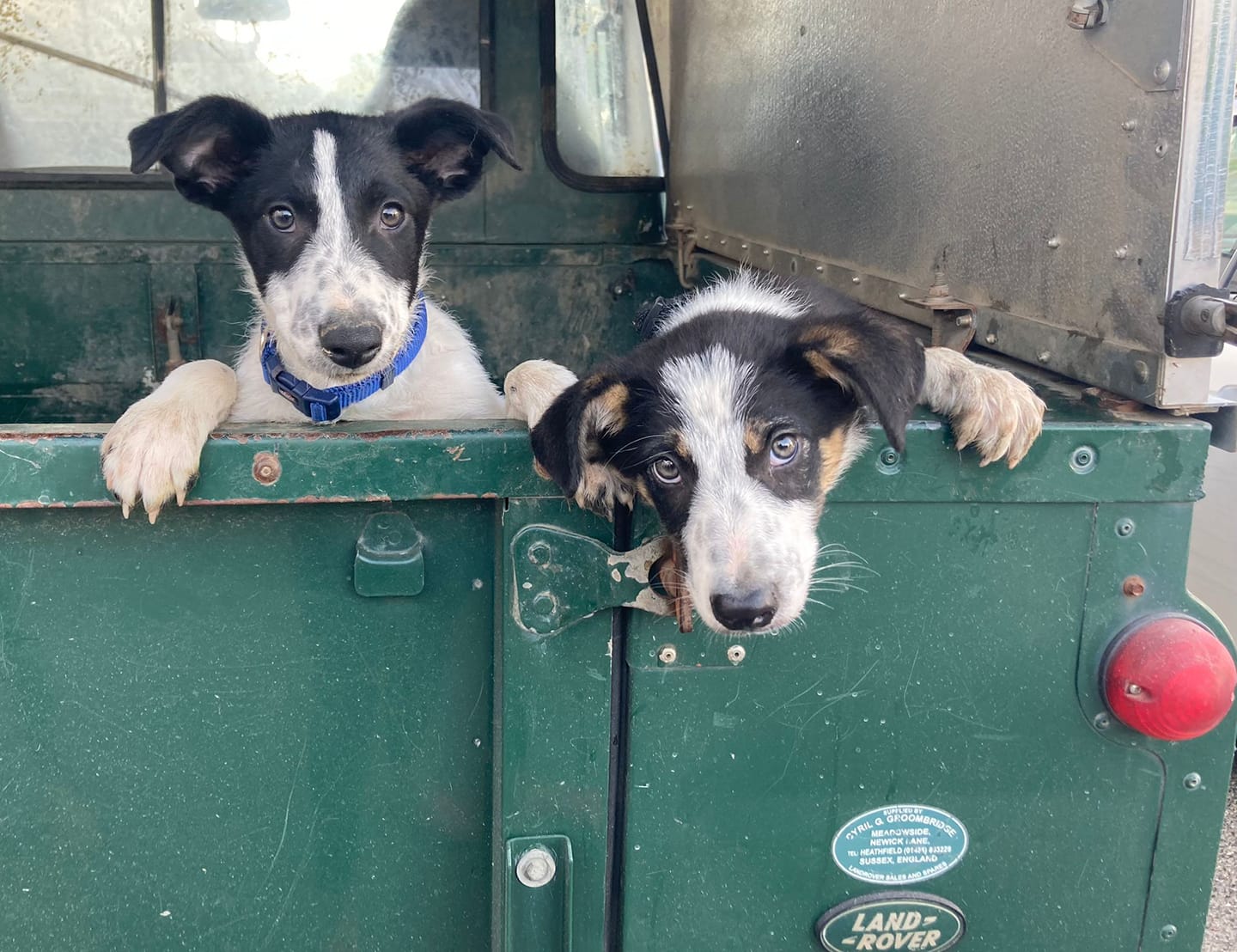 Vets Nr Crowborough Fairfield House Vets Uckfield